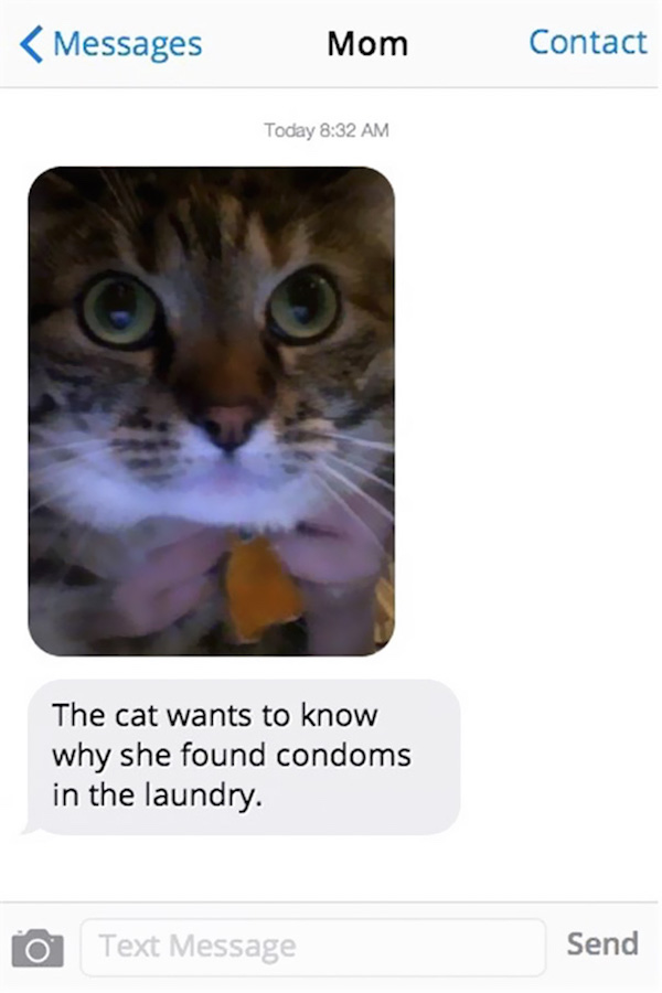 funny picture of text from mom that says cat found codoms