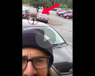 funny video of bird protecting its nest from guy