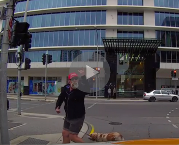 Let's All Laugh As This Angry Pedestrian Gets What's Coming To Him