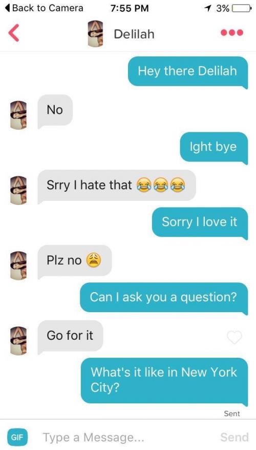 image of hey there delilah tinder conversation