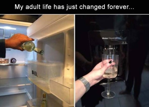 funny image of wine in water dispenser