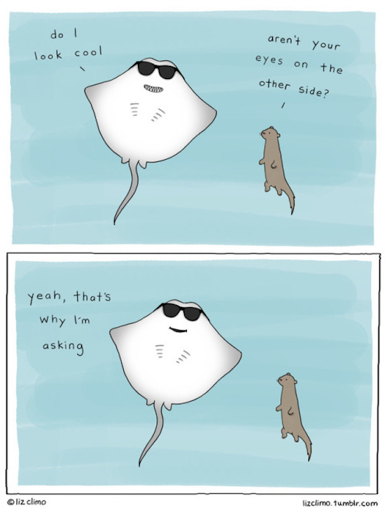 funny image of stingray wearing glasses comic by liz climo