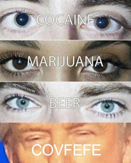 funny pic of marijuana eyes, cocaine eyes, beer eyes, covfefe eyes