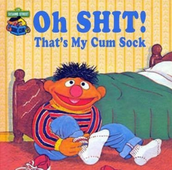 funny image of oh shit that's my cum sock ernie sesame street book