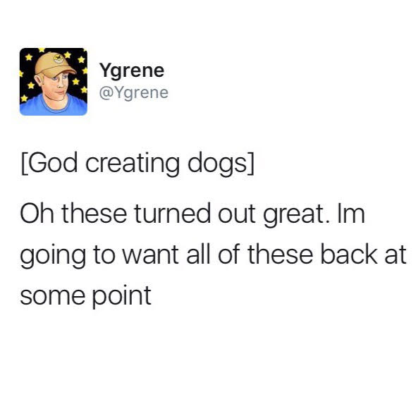 funny tweet about god creating dogs