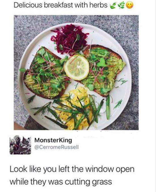 funny photo of food that looks like someone left the window open while cutting grass