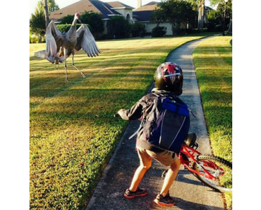 meanwhile in florida bird attack, best funny pictures, funny pics, funny photos, funny pictures, funny vids, the best funny pictures, really funny photos, funny photos of animals, funny photos 2016, funny photos 2017, funny photos 2018, funny photos 2019, funny pics 2016, funny pics 2017, funny pics 2018, funny pics 2019, funny pictures 2016, funny pictures 2017, funny pictures 2018, funny pictures 2019, funniest pics 2016, funniest pics 2017, funniest pics 2018, funniest pics 2019, funniest pictures 2016, funniest pictures 2017, funniest pictures 2018, funniest pictures 2019, funniest photos 2016, funniest photos 2017, funniest photos 2018, funniest photos 2019, where to find funny pictures, funny pictures which made everyone laugh, where funny pictures, where to download funny pictures, where to find funny pictures with captions, where to get funny pictures for instagram, where to find funny pictures to share, where to find funny pictures to share on facebook, where to see funny pictures, funny pictures for instagram, funny pictures for facebook, funny pictures for memes, funny pictures for wallpaper, funny pictures for him, funny pictures for her, funny pictures for friends, funny pictures for snapchat, funny pictures like uberhumor, funny pictures like 9gag, funny pictures like facebook, funny pictures like, funny pictures like ifunny, funny stuff like pictures, funny pictures to text, funny pictures to photoshop, funny pictures to send, funny pictures to caption, funny pictures to post, funny pictures to make someone feel better, funny pictures to put on facebook, funny pictures to make you laugh, funny pictures to make you smile, funny pictures to brighten your day, funny pictures to brighten someone's day, funny pictures with words, funny pictures with no words, funny pictures without captions, funny pictures with jokes, funny pictures with dogs, funny pictures with cats, funny pictures without words, funny pictures without text, where can I find funny photos, best photos ever, best photo ever,