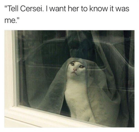 weird photo of cat looks like olenna tyrell from game of thrones