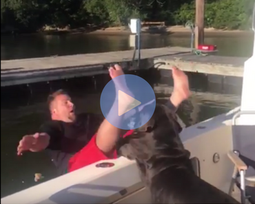 dog on a boat, dog fail, dog knocks owner off boat, funny dog, funny dogs, happy dog, dog happy, funny animals, funny animal, funny animal videos, funny animal video, funny videos, funny video, funny vids, funny vid, funny dog, funny dogs, dog, dogs, best dog ever, funny dog video, funny dog videos, funny dog vid, funny dog vids, dog videos funny, dog video funny, funniest dog videos 2016, funniest dog videos 2017, funniest dog videos 2018, funniest dog videos 2019, funniest dog videos 2020, best dog videos 2016, best dog videos 2017, best dog videos 2018, best dog videos 2019, best dog videos 2020