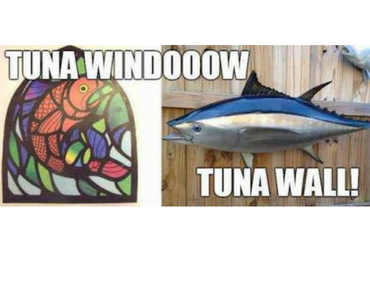 tuna window tuna wall, to the window to the wall, best funny pictures, funny pics, funny photos, funny pictures, funny vids, the best funny pictures, really funny photos, funny photos of animals, funny photos 2016, funny photos 2017, funny photos 2018, funny photos 2019, funny pics 2016, funny pics 2017, funny pics 2018, funny pics 2019, funny pictures 2016, funny pictures 2017, funny pictures 2018, funny pictures 2019, funniest pics 2016, funniest pics 2017, funniest pics 2018, funniest pics 2019, funniest pictures 2016, funniest pictures 2017, funniest pictures 2018, funniest pictures 2019, funniest photos 2016, funniest photos 2017, funniest photos 2018, funniest photos 2019, where to find funny pictures, funny pictures which made everyone laugh, where funny pictures, where to download funny pictures, where to find funny pictures with captions, where to get funny pictures for instagram, where to find funny pictures to share, where to find funny pictures to share on facebook, where to see funny pictures, funny pictures for instagram, funny pictures for facebook, funny pictures for memes, funny pictures for wallpaper, funny pictures for him, funny pictures for her, funny pictures for friends, funny pictures for snapchat, funny pictures like uberhumor, funny pictures like 9gag, funny pictures like facebook, funny pictures like, funny pictures like ifunny, funny stuff like pictures, funny pictures to text, funny pictures to photoshop, funny pictures to send, funny pictures to caption, funny pictures to post, funny pictures to make someone feel better, funny pictures to put on facebook, funny pictures to make you laugh, funny pictures to make you smile, funny pictures to brighten your day, funny pictures to brighten someone's day, funny pictures with words, funny pictures with no words, funny pictures without captions, funny pictures with jokes, funny pictures with dogs, funny pictures with cats, funny pictures without words, funny pictures without text, where can I find funny photos, best photos ever, best photo ever, silly photos, silly pictures, silly pics,