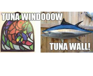 tuna window tuna wall, to the window to the wall, best funny pictures, funny pics, funny photos, funny pictures, funny vids, the best funny pictures, really funny photos, funny photos of animals, funny photos 2016, funny photos 2017, funny photos 2018, funny photos 2019, funny pics 2016, funny pics 2017, funny pics 2018, funny pics 2019, funny pictures 2016, funny pictures 2017, funny pictures 2018, funny pictures 2019, funniest pics 2016, funniest pics 2017, funniest pics 2018, funniest pics 2019, funniest pictures 2016, funniest pictures 2017, funniest pictures 2018, funniest pictures 2019, funniest photos 2016, funniest photos 2017, funniest photos 2018, funniest photos 2019, where to find funny pictures, funny pictures which made everyone laugh, where funny pictures, where to download funny pictures, where to find funny pictures with captions, where to get funny pictures for instagram, where to find funny pictures to share, where to find funny pictures to share on facebook, where to see funny pictures, funny pictures for instagram, funny pictures for facebook, funny pictures for memes, funny pictures for wallpaper, funny pictures for him, funny pictures for her, funny pictures for friends, funny pictures for snapchat, funny pictures like uberhumor, funny pictures like 9gag, funny pictures like facebook, funny pictures like, funny pictures like ifunny, funny stuff like pictures, funny pictures to text, funny pictures to photoshop, funny pictures to send, funny pictures to caption, funny pictures to post, funny pictures to make someone feel better, funny pictures to put on facebook, funny pictures to make you laugh, funny pictures to make you smile, funny pictures to brighten your day, funny pictures to brighten someone's day, funny pictures with words, funny pictures with no words, funny pictures without captions, funny pictures with jokes, funny pictures with dogs, funny pictures with cats, funny pictures without words, funny pictures without text, where can I find funny photos, best photos ever, best photo ever, silly photos, silly pictures, silly pics,