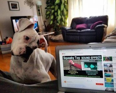 best funny pictures, funny pics, funny photos, funny pictures, funny vids, the best funny pictures, really funny photos, funny photos of animals, funny photos 2016, funny photos 2017, funny photos 2018, funny photos 2019, funny pics 2016, funny pics 2017, funny pics 2018, funny pics 2019, funny pictures 2016, funny pictures 2017, funny pictures 2018, funny pictures 2019, funniest pics 2016, funniest pics 2017, funniest pics 2018, funniest pics 2019, funniest pictures 2016, funniest pictures 2017, funniest pictures 2018, funniest pictures 2019, funniest photos 2016, funniest photos 2017, funniest photos 2018, funniest photos 2019, where to find funny pictures, funny pictures which made everyone laugh, where funny pictures, where to download funny pictures, where to find funny pictures with captions, where to get funny pictures for instagram, where to find funny pictures to share, where to find funny pictures to share on facebook, where to see funny pictures, funny pictures for instagram, funny pictures for facebook, funny pictures for memes, funny pictures for wallpaper, funny pictures for him, funny pictures for her, funny pictures for friends, funny pictures for snapchat, funny pictures like uberhumor, funny pictures like 9gag, funny pictures like facebook, funny pictures like, funny pictures like ifunny, funny stuff like pictures, funny pictures to text, funny pictures to photoshop, funny pictures to send, funny pictures to caption, funny pictures to post, funny pictures to make someone feel better, funny pictures to put on facebook, funny pictures to make you laugh, funny pictures to make you smile, funny pictures to brighten your day, funny pictures to brighten someone's day, funny pictures with words, funny pictures with no words, funny pictures without captions, funny pictures with jokes, funny pictures with dogs, funny pictures with cats, funny pictures without words, funny pictures without text, where can I find funny photos, best photos ever, best photo ever, silly photos, silly pictures, silly pics,