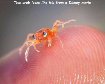 best funny pictures, funny pics, funny photos, funny pictures, funny vids, the best funny pictures, really funny photos, funny photos of animals, funny photos 2016, funny photos 2017, funny photos 2018, funny photos 2019, funny pics 2016, funny pics 2017, funny pics 2018, funny pics 2019, funny pictures 2016, funny pictures 2017, funny pictures 2018, funny pictures 2019, funniest pics 2016, funniest pics 2017, funniest pics 2018, funniest pics 2019, funniest pictures 2016, funniest pictures 2017, funniest pictures 2018, funniest pictures 2019, funniest photos 2016, funniest photos 2017, funniest photos 2018, funniest photos 2019, where to find funny pictures, funny pictures which made everyone laugh, where funny pictures, where to download funny pictures, where to find funny pictures with captions, where to get funny pictures for instagram, where to find funny pictures to share, where to find funny pictures to share on facebook, where to see funny pictures, funny pictures for instagram, funny pictures for facebook, funny pictures for memes, funny pictures for wallpaper, funny pictures for him, funny pictures for her, funny pictures for friends, funny pictures for snapchat, funny pictures like uberhumor, funny pictures like 9gag, funny pictures like facebook, funny pictures like, funny pictures like ifunny, funny stuff like pictures, funny pictures to text, funny pictures to photoshop, funny pictures to send, funny pictures to caption, funny pictures to post, funny pictures to make someone feel better, funny pictures to put on facebook, funny pictures to make you laugh, funny pictures to make you smile, funny pictures to brighten your day, funny pictures to brighten someone's day, funny pictures with words, funny pictures with no words, funny pictures without captions, funny pictures with jokes, funny pictures with dogs, funny pictures with cats, funny pictures without words, funny pictures without text, where can I find funny photos, best photos ever, best photo ever, silly photos, silly pictures, silly pics,