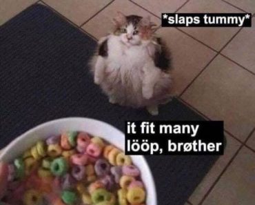 best funny pictures, funny pics, funny photos, funny pictures, funny vids, the best funny pictures, really funny photos, funny photos of animals, funny photos 2016, funny photos 2017, funny photos 2018, funny photos 2019, funny pics 2016, funny pics 2017, funny pics 2018, funny pics 2019, funny pictures 2016, funny pictures 2017, funny pictures 2018, funny pictures 2019, funniest pics 2016, funniest pics 2017, funniest pics 2018, funniest pics 2019, funniest pictures 2016, funniest pictures 2017, funniest pictures 2018, funniest pictures 2019, funniest photos 2016, funniest photos 2017, funniest photos 2018, funniest photos 2019, where to find funny pictures, funny pictures which made everyone laugh, where funny pictures, where to download funny pictures, where to find funny pictures with captions, where to get funny pictures for instagram, where to find funny pictures to share, where to find funny pictures to share on facebook, where to see funny pictures, funny pictures for instagram, funny pictures for facebook, funny pictures for memes, funny pictures for wallpaper, funny pictures for him, funny pictures for her, funny pictures for friends, funny pictures for snapchat, funny pictures like uberhumor, funny pictures like 9gag, funny pictures like facebook, funny pictures like, funny pictures like ifunny, funny stuff like pictures, funny pictures to text, funny pictures to photoshop, funny pictures to send, funny pictures to caption, funny pictures to post, funny pictures to make someone feel better, funny pictures to put on facebook, funny pictures to make you laugh, funny pictures to make you smile, funny pictures to brighten your day, funny pictures to brighten someone's day, funny pictures with words, funny pictures with no words, funny pictures without captions, funny pictures with jokes, funny pictures with dogs, funny pictures with cats, funny pictures without words, funny pictures without text, where can I find funny photos, best photos ever, best photo ever, silly photos, silly pictures, silly pics,