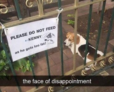 best funny pictures, funny pics, funny photos, funny pictures, funny vids, the best funny pictures, really funny photos, funny photos of animals, funny photos 2016, funny photos 2017, funny photos 2018, funny photos 2019, funny pics 2016, funny pics 2017, funny pics 2018, funny pics 2019, funny pictures 2016, funny pictures 2017, funny pictures 2018, funny pictures 2019, funniest pics 2016, funniest pics 2017, funniest pics 2018, funniest pics 2019, funniest pictures 2016, funniest pictures 2017, funniest pictures 2018, funniest pictures 2019, funniest photos 2016, funniest photos 2017, funniest photos 2018, funniest photos 2019, where to find funny pictures, funny pictures which made everyone laugh, where funny pictures, where to download funny pictures, where to find funny pictures with captions, where to get funny pictures for instagram, where to find funny pictures to share, where to find funny pictures to share on facebook, where to see funny pictures, funny pictures for instagram, funny pictures for facebook, funny pictures for memes, funny pictures for wallpaper, funny pictures for him, funny pictures for her, funny pictures for friends, funny pictures for snapchat, funny pictures like uberhumor, funny pictures like 9gag, funny pictures like facebook, funny pictures like, funny pictures like ifunny, funny stuff like pictures, funny pictures to text, funny pictures to photoshop, funny pictures to send, funny pictures to caption, funny pictures to post, funny pictures to make someone feel better, funny pictures to put on facebook, funny pictures to make you laugh, funny pictures to make you smile, funny pictures to brighten your day, funny pictures to brighten someone's day, funny pictures with words, funny pictures with no words, funny pictures without captions, funny pictures with jokes, funny pictures with dogs, funny pictures with cats, funny pictures without words, funny pictures without text, where can I find funny photos, best photos ever, best photo ever, silly photos, silly pictures, silly pics,