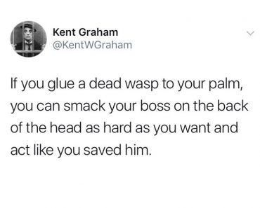 glue dead wasp to palm, wasp boss tweet, smack boss tweet, wasp boss, funniest tweets, funny tweets, best tweets, top tweets, tweets, tweet, top tweet, best tweet, funny tweet, funniest tweet, hilarious tweets, very funny tweets