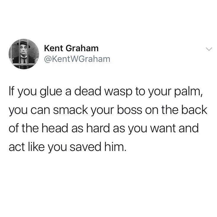 glue dead wasp to palm, wasp boss tweet, smack boss tweet, wasp boss, funniest tweets, funny tweets, best tweets, top tweets, tweets, tweet, top tweet, best tweet, funny tweet, funniest tweet, hilarious tweets, very funny tweets
