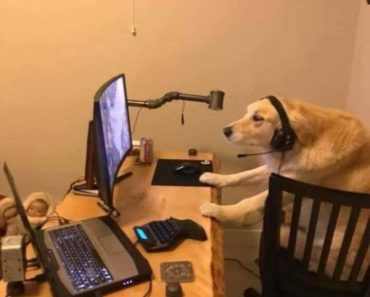 best funny pictures, funny pics, funny photos, funny pictures, funny vids, the best funny pictures, really funny photos, funny photos of animals, funny photos 2016, funny photos 2017, funny photos 2018, funny photos 2019, funny pics 2016, funny pics 2017, funny pics 2018, funny pics 2019, funny pictures 2016, funny pictures 2017, funny pictures 2018, funny pictures 2019, funniest pics 2016, funniest pics 2017, funniest pics 2018, funniest pics 2019, funniest pictures 2016, funniest pictures 2017, funniest pictures 2018, funniest pictures 2019, funniest photos 2016, funniest photos 2017, funniest photos 2018, funniest photos 2019, where to find funny pictures, funny pictures which made everyone laugh, where funny pictures, where to download funny pictures, where to find funny pictures with captions, where to get funny pictures for instagram, where to find funny pictures to share, where to find funny pictures to share on facebook, where to see funny pictures, funny pictures for instagram, funny pictures for facebook, funny pictures for memes, funny pictures for wallpaper, funny pictures for him, funny pictures for her, funny pictures for friends, funny pictures for snapchat, funny pictures like uberhumor, funny pictures like 9gag, funny pictures like facebook, funny pictures like, funny pictures like ifunny, funny stuff like pictures, funny pictures to text, funny pictures to photoshop, funny pictures to send, funny pictures to caption, funny pictures to post, funny pictures to make someone feel better, funny pictures to put on facebook, funny pictures to make you laugh, funny pictures to make you smile, funny pictures to brighten your day, funny pictures to brighten someone's day, funny pictures with words, funny pictures with no words, funny pictures without captions, funny pictures with jokes, funny pictures with dogs, funny pictures with cats, funny pictures without words, funny pictures without text, where can I find funny photos, best photos ever, best photo ever, silly photos, silly pictures, silly pics,