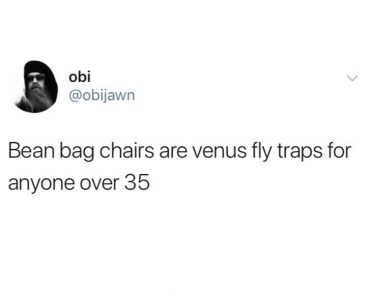 bean bag chairs venus fly traps, bean bag chairs for anyone over 35, funniest tweets, funny tweets, best tweets, top tweets, tweets, tweet, top tweet, best tweet, funny tweet, funniest tweet, hilarious tweets, very funny tweets