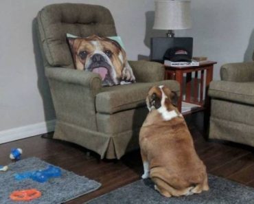 best funny pictures, funny pics, funny photos, funny pictures, funny vids, the best funny pictures, really funny photos, funny photos of animals, funny photos 2016, funny photos 2017, funny photos 2018, funny photos 2019, funny pics 2016, funny pics 2017, funny pics 2018, funny pics 2019, funny pictures 2016, funny pictures 2017, funny pictures 2018, funny pictures 2019, funniest pics 2016, funniest pics 2017, funniest pics 2018, funniest pics 2019, funniest pictures 2016, funniest pictures 2017, funniest pictures 2018, funniest pictures 2019, funniest photos 2016, funniest photos 2017, funniest photos 2018, funniest photos 2019, where to find funny pictures, funny pictures which made everyone laugh, where funny pictures, where to download funny pictures, where to find funny pictures with captions, where to get funny pictures for instagram, where to find funny pictures to share, where to find funny pictures to share on facebook, where to see funny pictures, funny pictures for instagram, funny pictures for facebook, funny pictures for memes, funny pictures for wallpaper, funny pictures for him, funny pictures for her, funny pictures for friends, funny pictures for snapchat, funny pictures like uberhumor, funny pictures like 9gag, funny pictures like facebook, funny pictures like, funny pictures like ifunny, funny stuff like pictures, funny pictures to text, funny pictures to photoshop, funny pictures to send, funny pictures to caption, funny pictures to post, funny pictures to make someone feel better, funny pictures to put on facebook, funny pictures to make you laugh, funny pictures to make you smile, funny pictures to brighten your day, funny pictures to brighten someone's day, funny pictures with words, funny pictures with no words, funny pictures without captions, funny pictures with jokes, funny pictures with dogs, funny pictures with cats, funny pictures without words, funny pictures without text, where can I find funny photos, best photos ever, best photo ever, silly photos, silly pictures, silly pics,