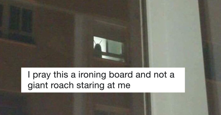 15 Women Who Made Us Pee Our Pants Reading Twitter This Week