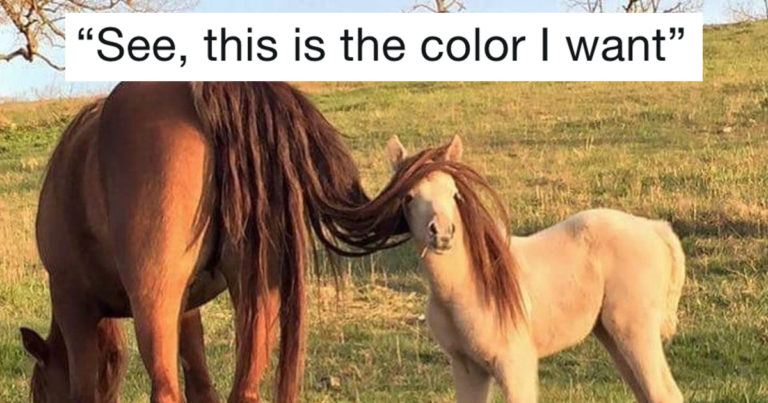 18 Memes Guaranteed To Make You Spit Out Your Morning Coffee