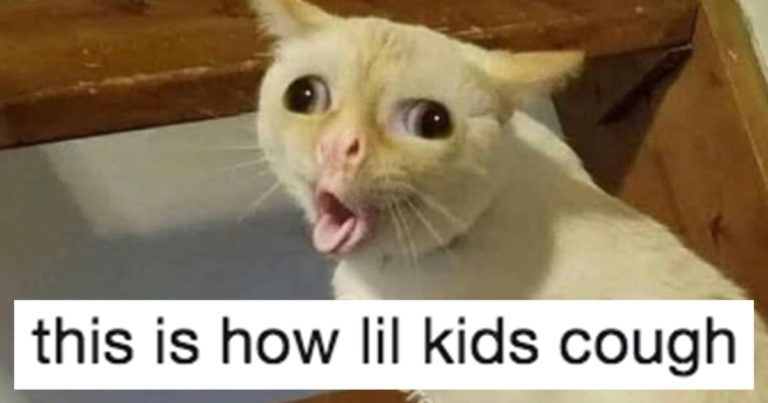 Don’t Want Kids? May We Then Suggest These Memes About Not Wanting Kids (21 Memes)