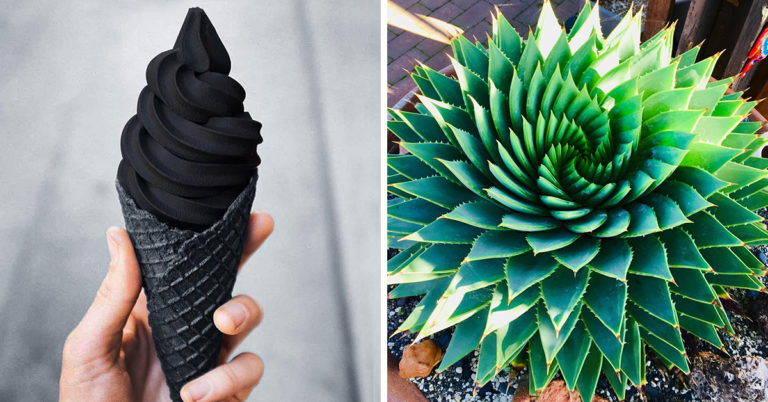 45 Of The Best And Most Oddly Satisfying Photos And Videos Of All Time