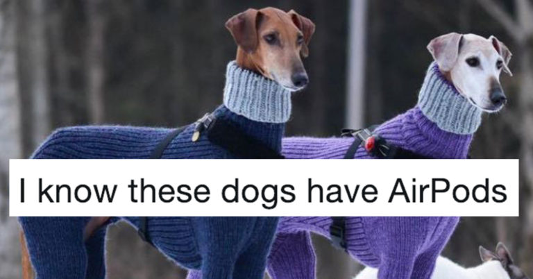 30 Jokes About AirPods That Are So Dang Funny And So Dang True