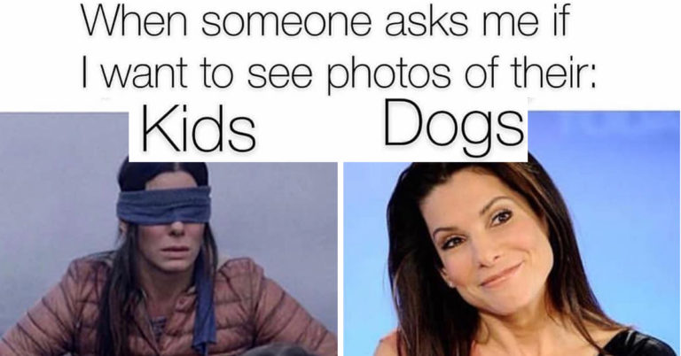 25 Memes For People Who Know Pets Are Better Than Kids
