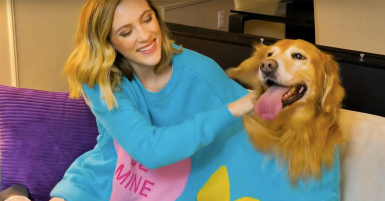 Celebrate Valentine’s Day With This Double Headed Sweater For You And Your Dog