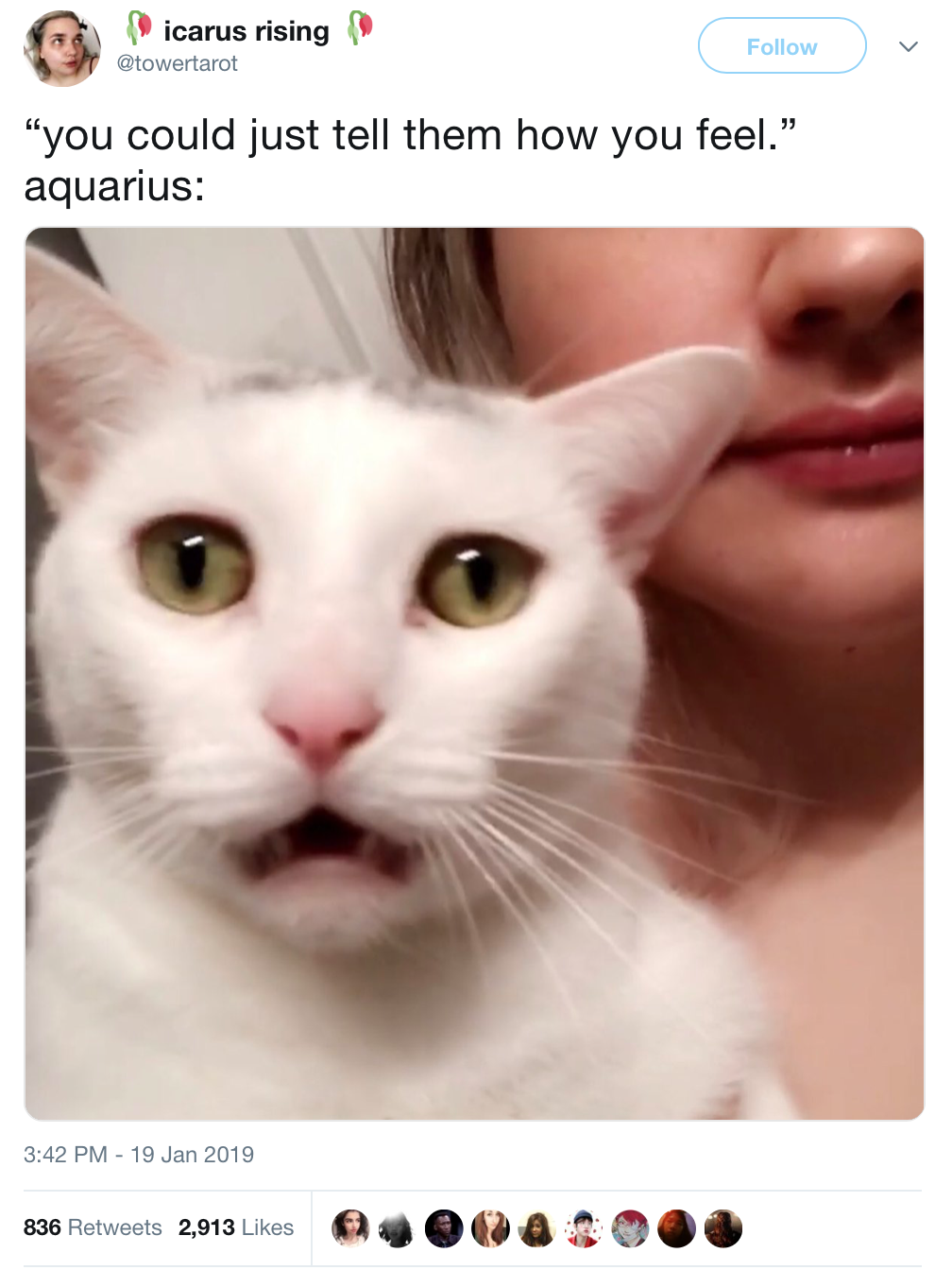 Memes That Ll Make Aquarians Feel Personally Assaulted