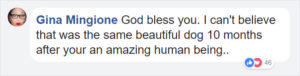 Guy rescues abandoned dog, dog transformations, rescue dogs before and after photos, people save abandoned animals, guy finds out rescue dog is a husky, husky nursed back to health, humanity, angel rescues starving dog, person rescues abused animal, husky, starving husky nursed back to health, Hope the Husky, trending story, feel-good story, dogs are better than people, dog lovers, animal lovers, people who love dogs, dog stories, stories about rescue dogs, dogs who need homes, 