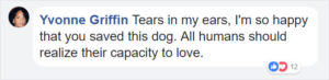 Guy rescues abandoned dog, dog transformations, rescue dogs before and after photos, people save abandoned animals, guy finds out rescue dog is a husky, husky nursed back to health, humanity, angel rescues starving dog, person rescues abused animal, husky, starving husky nursed back to health, Hope the Husky, trending story, feel-good story, dogs are better than people, dog lovers, animal lovers, people who love dogs, dog stories, stories about rescue dogs, dogs who need homes, 