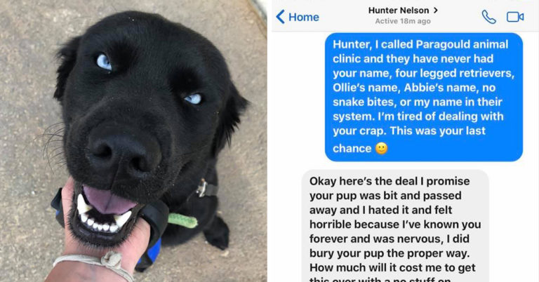 Woman Shares Screenshots From Dog Trainer Who Kidnapped Her Dog And Said ‘He Died’