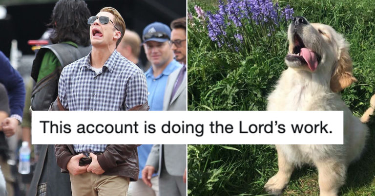 Chris Evans Is Basically A Golden Retriever And This Twitter Account Proves It