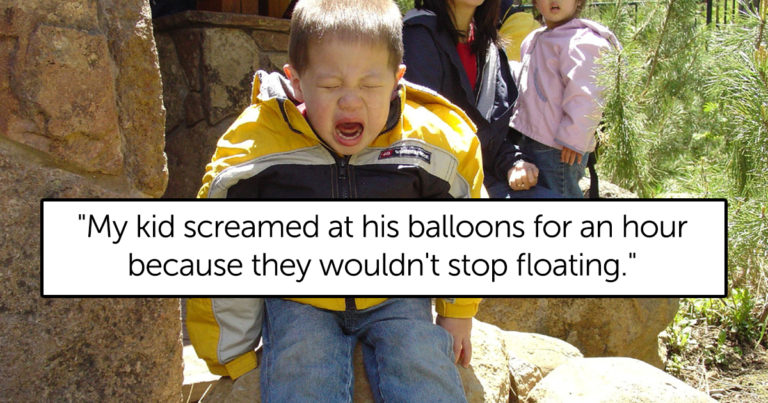 Parents Are Sharing The Most Ridiculous Reasons Their Toddlers Had Meltdowns And It’s Too Damn Funny