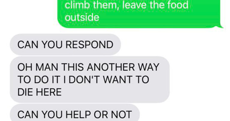 15 Of The Most Ridiculous Text Conversations People Have Actually Had With Their Food Delivery Drivers