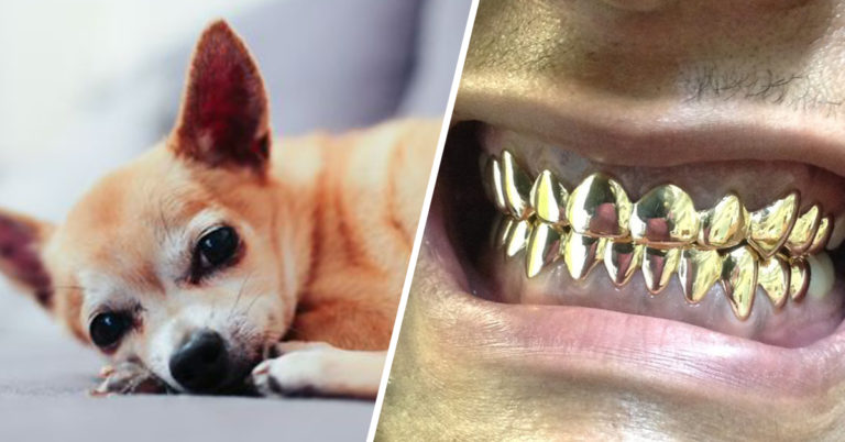 50 Of The Most Outrageous Things People Have Forgotten In Ubers