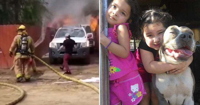 Man Ignores Firefighters’ Warnings, Runs Back Into Burning Home To Save His Dog