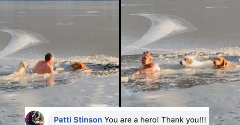 Good Samaritan Risks His Life To Save Pair Of Dogs In Icy Reservoir