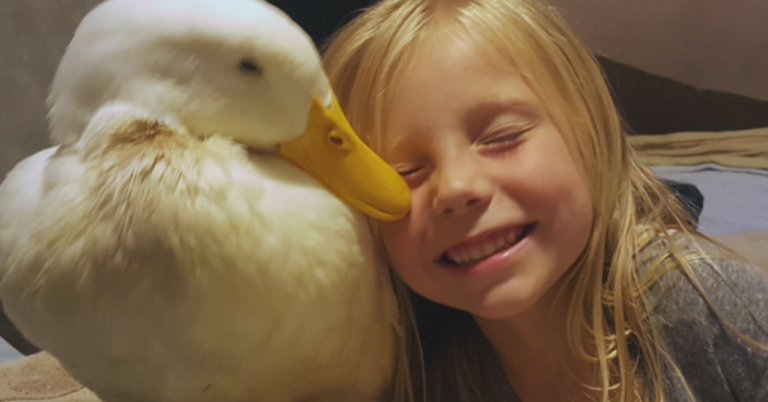 Everything Is Awful, So Take A Moment To Enjoy This Little Girl And Her Duck Best Friend