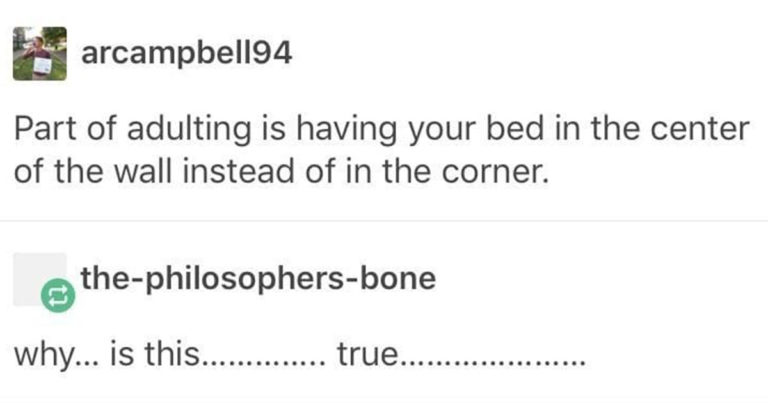 best funny photos, best funny pictures, best of Tumblr, best tumblr pictures, best Tumblr posts, best Tumblr posts of the week, funny photos, funny pictures, funny Tumblr posts, relatable jokes, relatable tumblr posts, so true, true tumblr, true tumblr posts, Truth, tumblr, tumblr jokes, Tumblr photos, Tumblr roundup, viral Tumblr