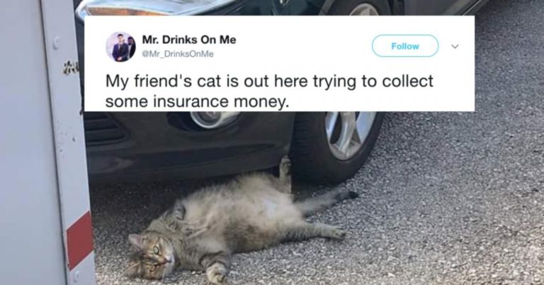 41 Tweets That’ll Make Anyone With A Sick Sense Of Humor Evil-Laugh