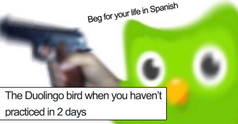 25+ Memes About The Terror Of Disappointing The Duolingo Owl