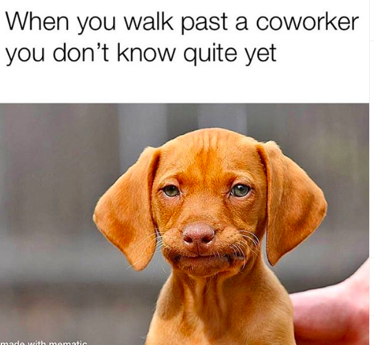 Funny Memes For Workplace