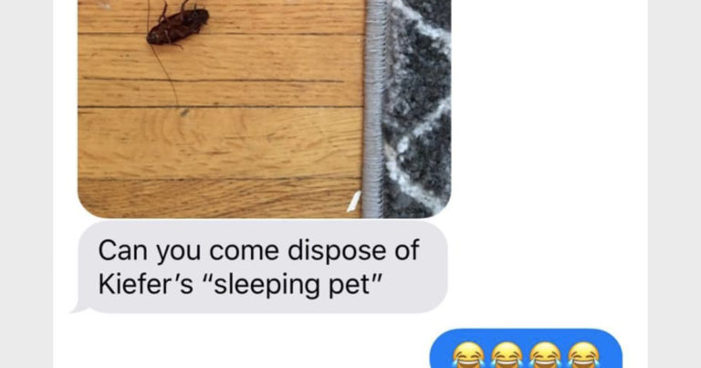 21 Texts That Could Only Have Been Sent From One Parent To Another