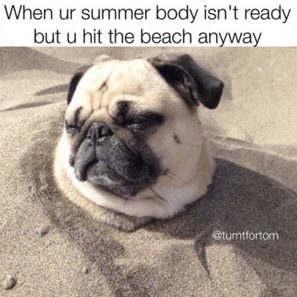 33 Memes For Anyone Who S In A Love Hate Relationship With Their Summer Body