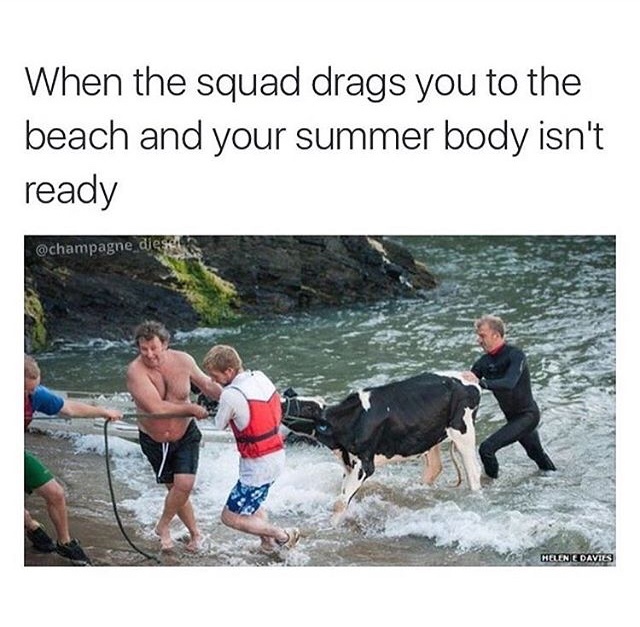 beach body, bikini bod, body, body image, every body is a summer body, Funny, funny memes, funny pictures, memes, relatable memes, summer, summer bod, summer bodies, summer body, summertime, trending memes