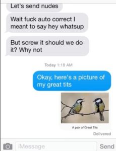 15 Hilariously Flawless Responses To Dudes Asking For Nudes